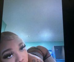 New in Town Galveston Female Escort — Mobile Outcall & Cardate Specials - Image 5