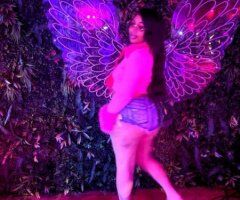 Albany escorts - Albany Wet Kitty Escort — No Bare, No BBJ