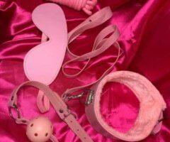 Text-Ready Female Escort for Step-by-Step Enivironment Attention - Image 3