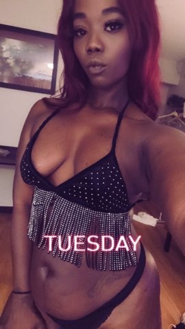 Houston Female Escort — In-Calls & “Qv Specials” - 1
