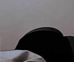 New in town Female Escort — quick verification, no bare/BBJ - Image 2
