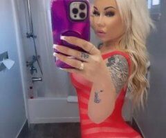 Luxury companionship & elite encounters in Santa Rosa (Incall / Outcall) - Image 7