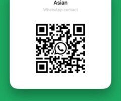 Savannah Asian Anal Queen — Incall/Outcall Car, anal & oral - Image 6