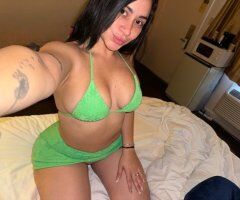 San Jose escorts - San Jose CA Escorts: Cubana recién llegada para sexo oral y penetración