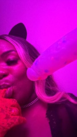 Memphis TN Female Escort — Business Only, In/Out Calls - 1
