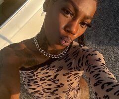 Nashville TN 21 Female Escort — Incalls, Outcalls & Facetime - Image 5