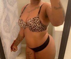 Tuscaloosa Pocket-Sized Wet Dream — Facetime Shows - Image 2