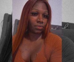 Bronx escorts - Bronx College Girl — Miami College Girl Cream Pie Fantasy