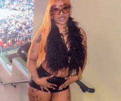 Pretty Brown - 25 - Image 3