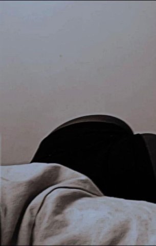 Pittsburgh Female Escort — New in town (FT verification, no bare) - 1