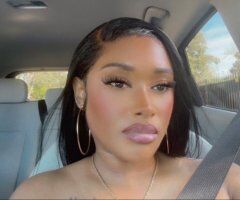 North Bay escorts - Exotic 5⭐ Bombshell — discreet outcalls, dates, and custom content