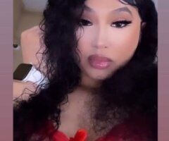 Portland escorts - Portland Lightskin Blasian Escort — Petite, 5’3 Provider
