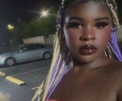 St. Louis Female Escort — QV Incalls Only (100$) + HHR/HR Rates - Image 12