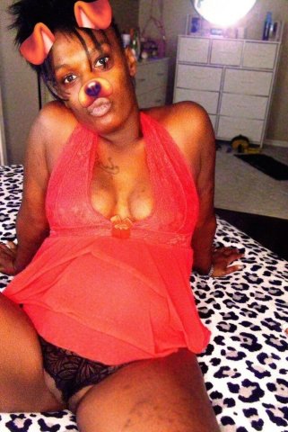 Tee (24) in Rapid City — Brown-Skinned Thick Escort, Wet & Juicy Style - 1