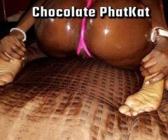 Chattanooga escorts -  Female Escort — Chocolate Phatkat (Incall)