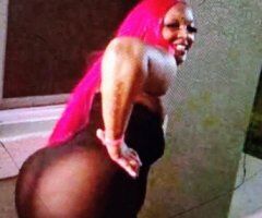 Tampa Female Escort — In-Calls & Out-Calls - Image 5