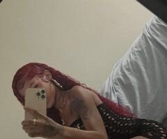 Angelica — San Diego Female Escort (Car Play Only, Cash Only) - Image 2