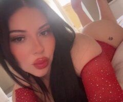 San Jose escorts - San Jose Incall Only (27) — Light Screening by Facetime/Snapchat