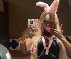 Charleston escorts - Ebony J. Rabbit — Cum See What You’ve Been Missing (Incall Only) Charleston, SC