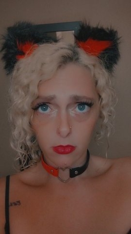 Terre Haute IN Female Escort — Marilyn (Incall only) - 1