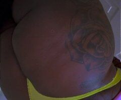 Houston escorts - Houston Female Escort — Incalls only, head only or pussy & head