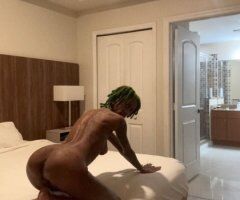 Harley at Near the Casino — Tampa Female Escort - Image 10