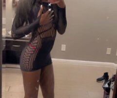 Merced In-Call/Out-Call VIP Kitty Service — Premium Experience - Image 3