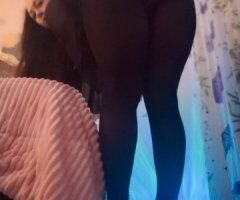 Toledo MILF Escort — In-Call or Outcall with Oil Rubdowns, Video & Phone - Image 4