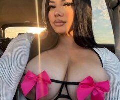 Perla, Latina Female Escort — Tampa Incall + 120 FS Special All Day - Image 9