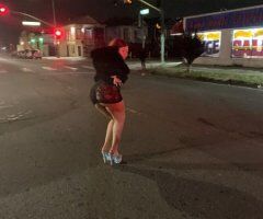 Los Angeles escorts - Thick light-skin adult escort — incalls & outcalls in Los Angeles