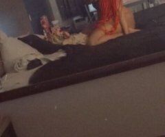Memphis escorts - AllyCat  Looking for fun — Memphis Female Escort