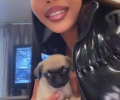 Vallejo Skilled Goddess Escort — real photos, discreet late nights - Image 6