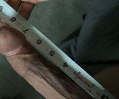 8 inch Ace - Image 2