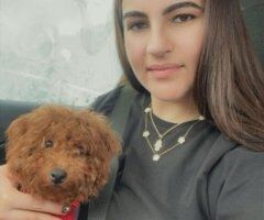 Curvy Cuban Woman Escort — Raleigh-Durham - Image 4