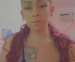 Tampa Female Escort — Incall BJ Special & Video Fun Content - Image 2