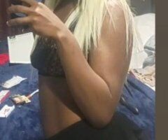Houston escorts - Houston Female Escort — In-call Northside, Outcalls w/ Lyft or Uber