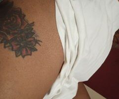 Los Angeles Secret Stallion Anal Escort — Throat Goat In-Calls - Image 3