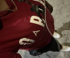 Los Angeles Secret Stallion Anal Escort — Throat Goat In-Calls - Image 6
