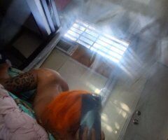 Miami FL In-Calls (Incalls) - Image 2