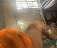 Miami FL In-Calls (Incalls) - Image 8