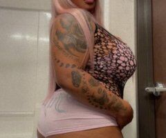 Springfield escorts - Exxotic Playmate available in Springfield—content, videos & Monday specials