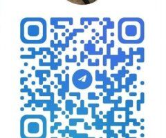 Gainesville FL Female Escort — Car Fun, Hotel Visits & Fetish Play - Image 3