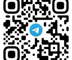 Bronx Incalls Female Escort — Verification via Telegram - Image 5