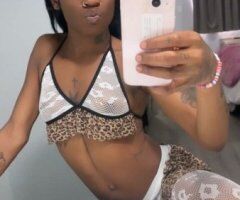 Memphis TN Incalls Only Female Escort — Petite & Throat Goat - Image 3