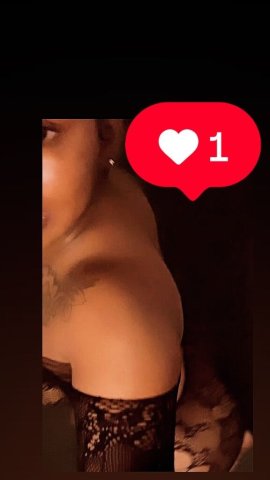 St. Louis Female Escort — Incalls Only - 1