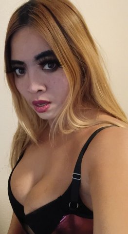 Nicole (Thai, 25) Asian Girl — Outcalls & In-Car Meetings in Las Vegas - 1