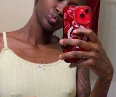 Dallas escorts - Incall & Outcall — Financial Dominatrix & FMTY