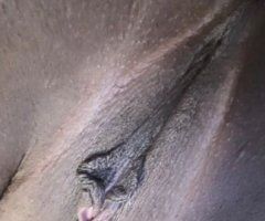 Jacksonville escorts - Jacksonville FL Blacker The Berry Sweet-Juice — Female Escort for Kissing, Oral, 69, Doggy & Travel