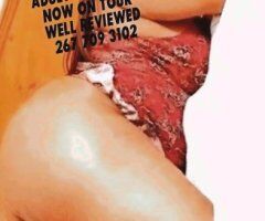 Allanah Hart Adult Film Star — Thick BBW Mature Escort (Philadelphia) - Image 3