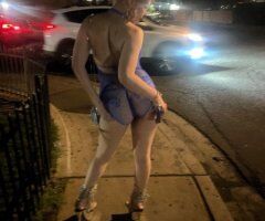 Phoenix Double Trouble Escort — Sloppy Blowjob, Bomb Backshots & Creampie - Image 4